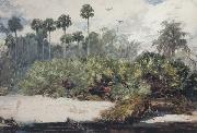 Winslow Homer In a Florida Jungle (mk44) Germany oil painting artist